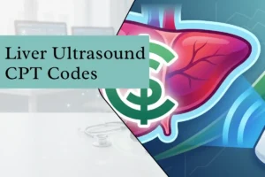 Liver Ultrasound CPT Codes Explained for Healthcare Providers